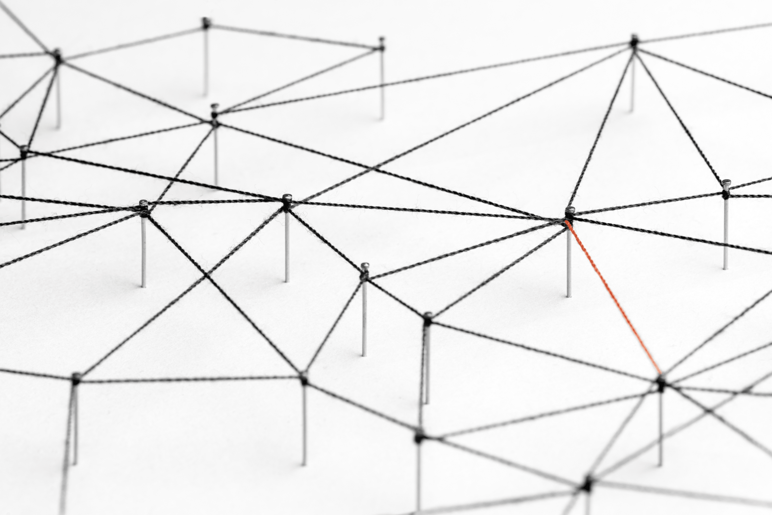 Digital network mapping and connection analysis